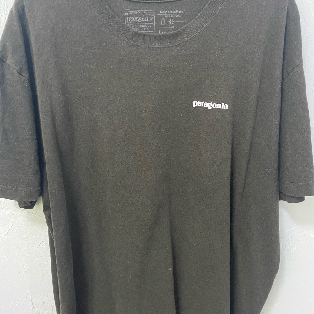 Patagonia T-shirt
